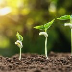 Growing an Accessories Brand Through Storytelling Growing an Accessories Brand Through Storytelling