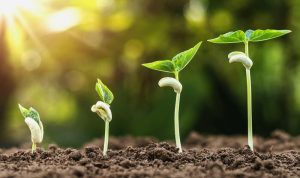 Growing an Accessories Brand Through Storytelling Growing an Accessories Brand Through Storytelling