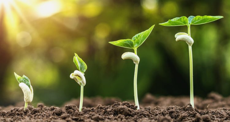 Growing an Accessories Brand Through Storytelling Growing an Accessories Brand Through Storytelling