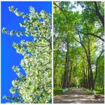 Seasonal Campaign Ideas for Lifestyle Goods Inspiration Seasonal Campaign Ideas for Lifestyle Goods Inspiration