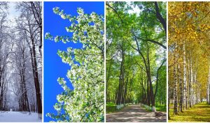 Seasonal Campaign Ideas for Lifestyle Goods Inspiration Seasonal Campaign Ideas for Lifestyle Goods Inspiration