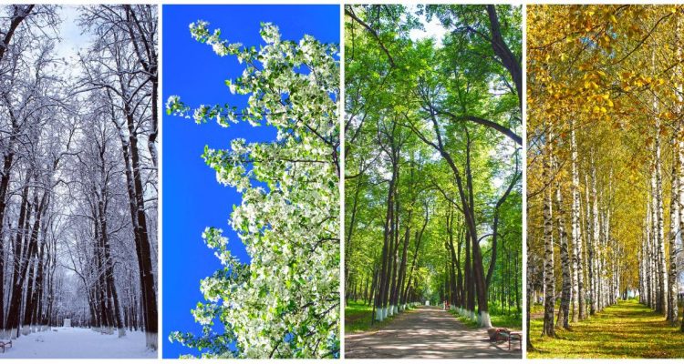 Seasonal Campaign Ideas for Lifestyle Goods Inspiration Seasonal Campaign Ideas for Lifestyle Goods Inspiration