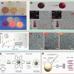 How to Use TikTok for Health Product Promotion Effectively How to Use TikTok for Health Product Promotion Effectively