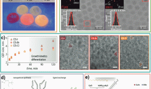 How to Use TikTok for Health Product Promotion Effectively How to Use TikTok for Health Product Promotion Effectively