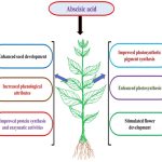 The Role of Warranty in Gadget Sales Explained The Role of Warranty in Gadget Sales Explained