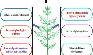 The Role of Warranty in Gadget Sales Explained