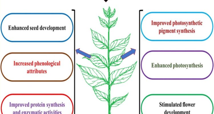 The Role of Warranty in Gadget Sales Explained